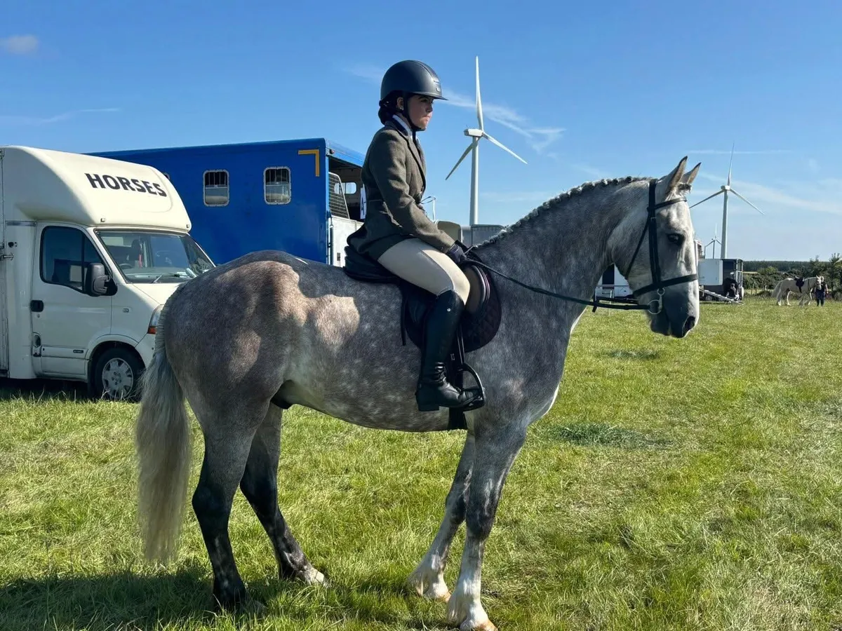 🌟 Super All-Rounder Type 🌟 - Image 2