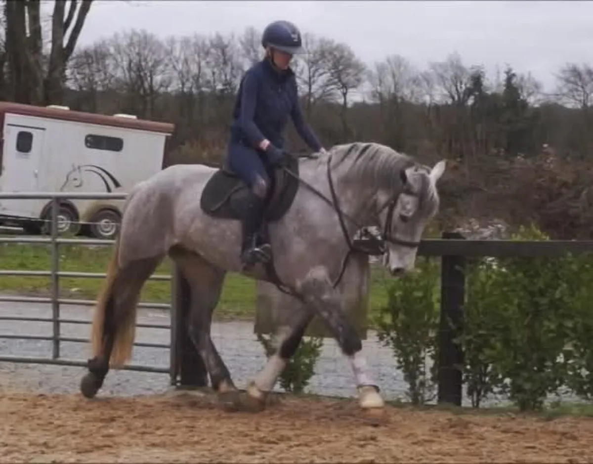 🌟 Super All-Rounder Type 🌟 - Image 3