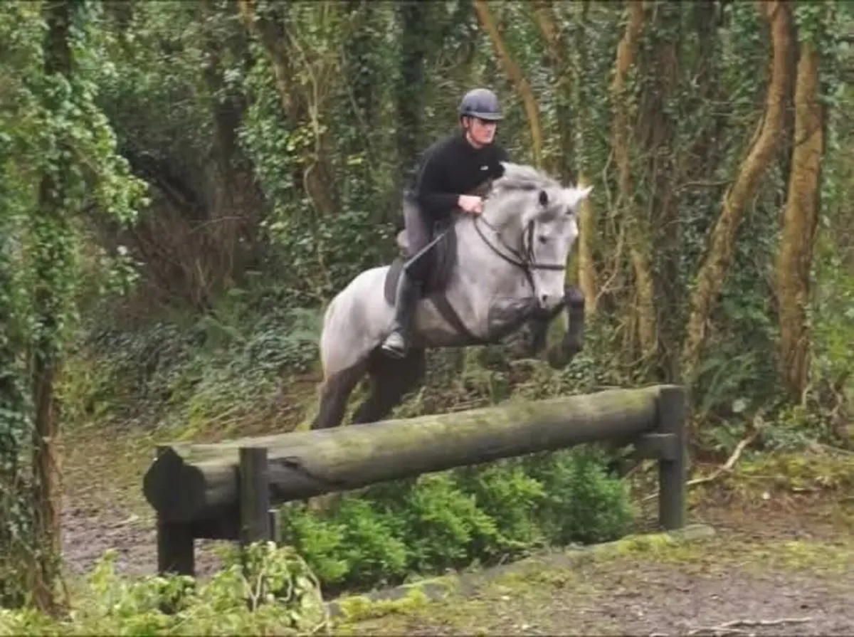 🌟 Super All-Rounder Type 🌟 - Image 4