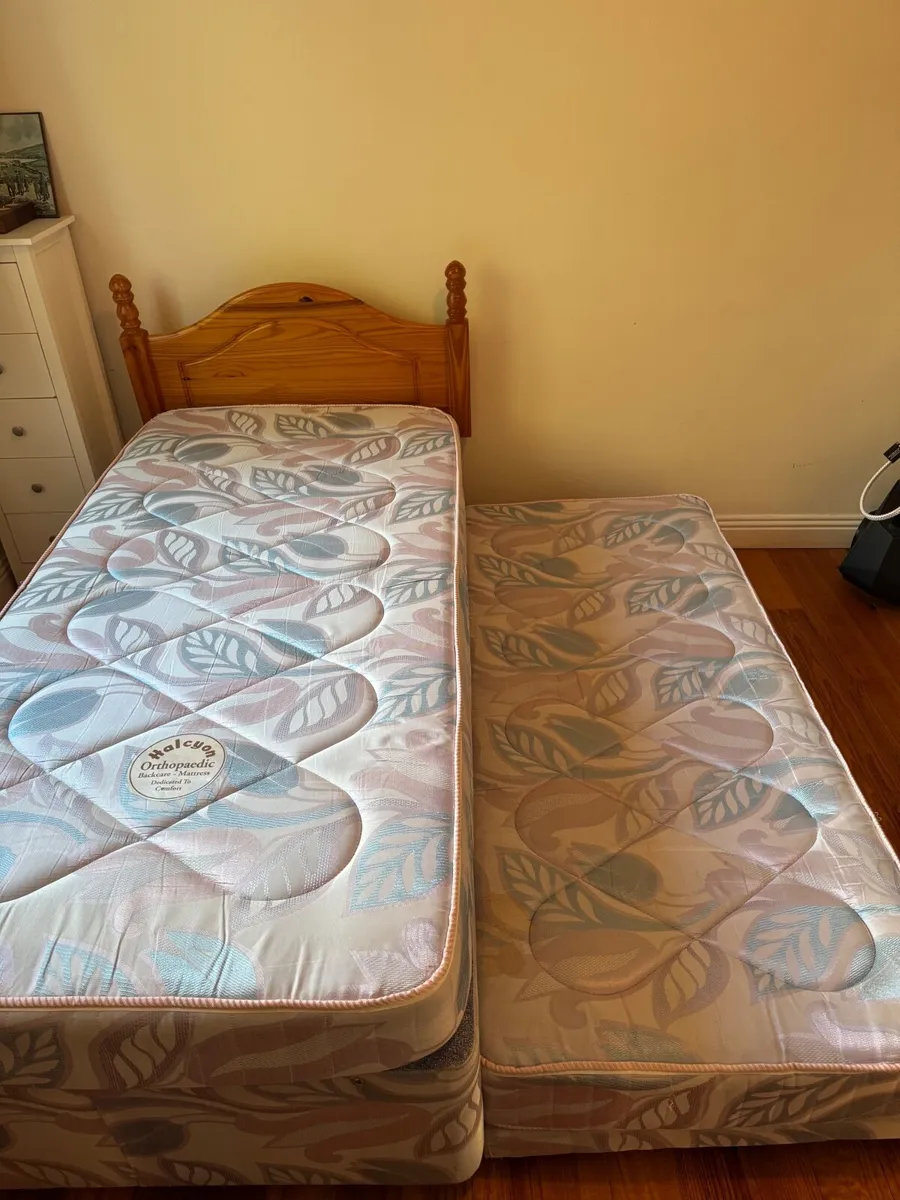 Single Bed with Pull-Out Trundle – FREE (if collec - Image 3