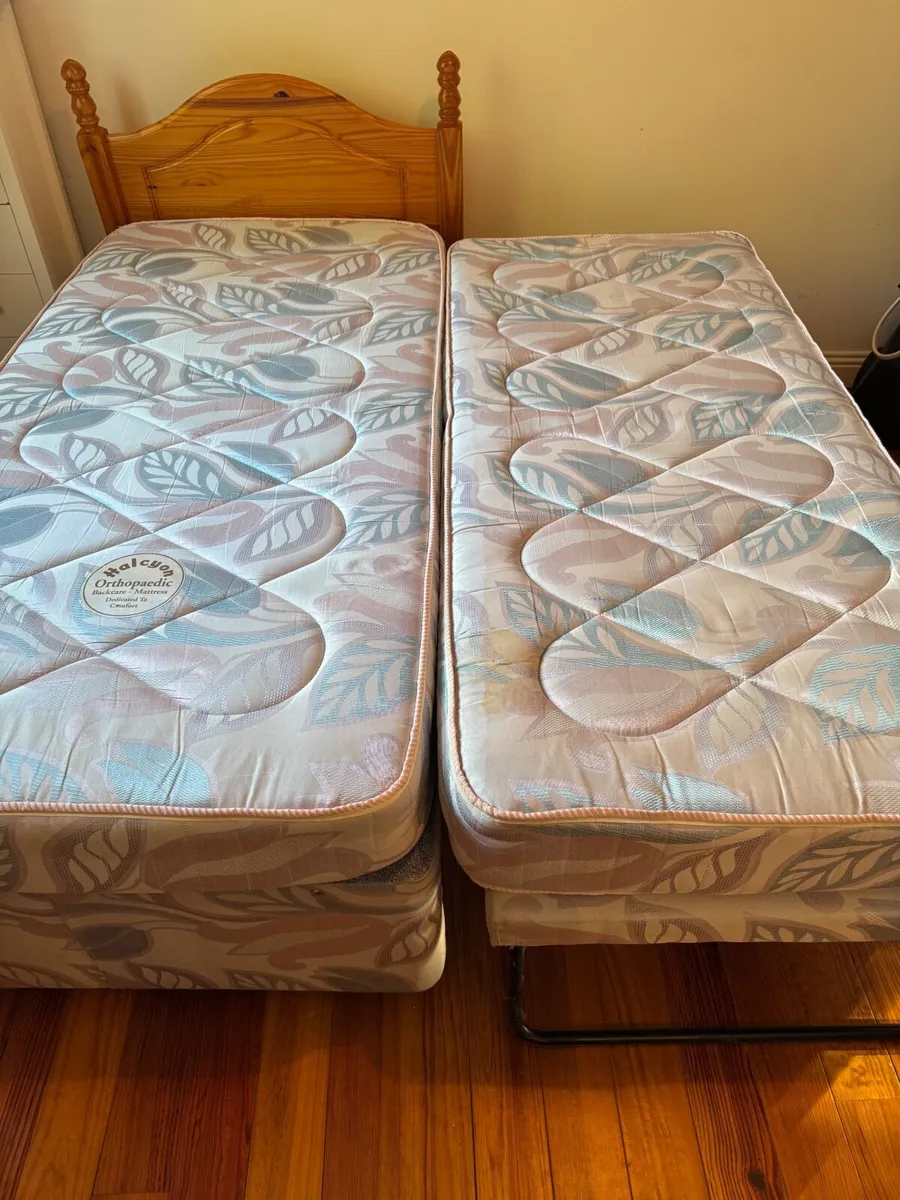 Single Bed with Pull-Out Trundle – FREE (if collec - Image 1