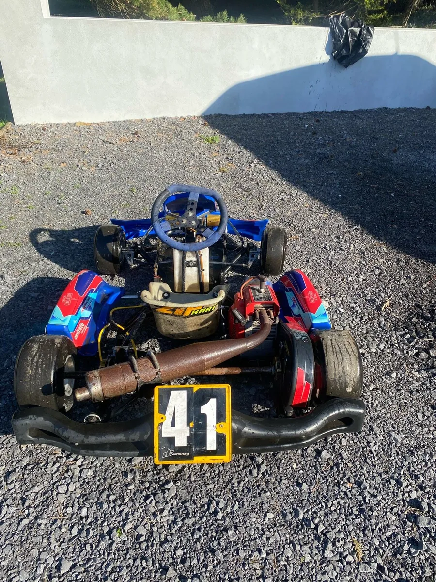 Petrol Go kart - Image 3