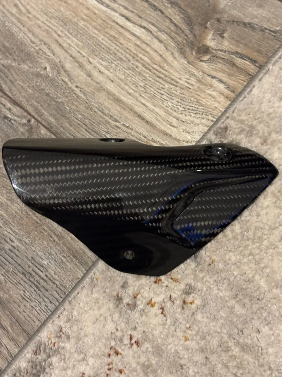 ILmberger Carbon BMW S1000R - Image 1