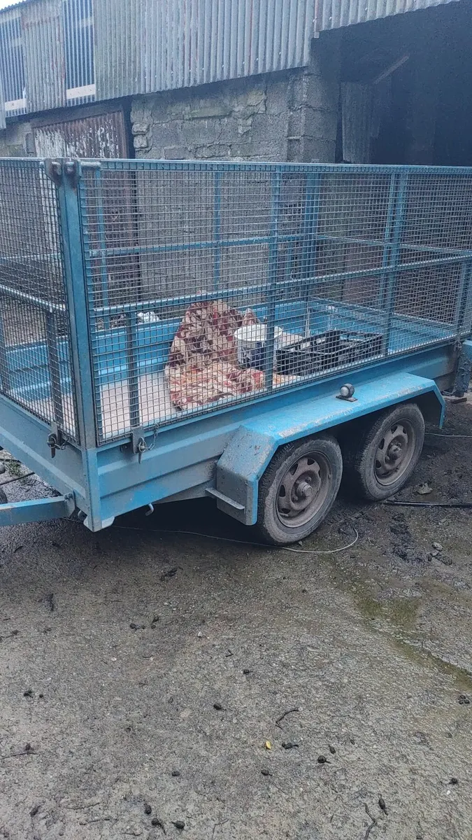 Car trailer - Image 3