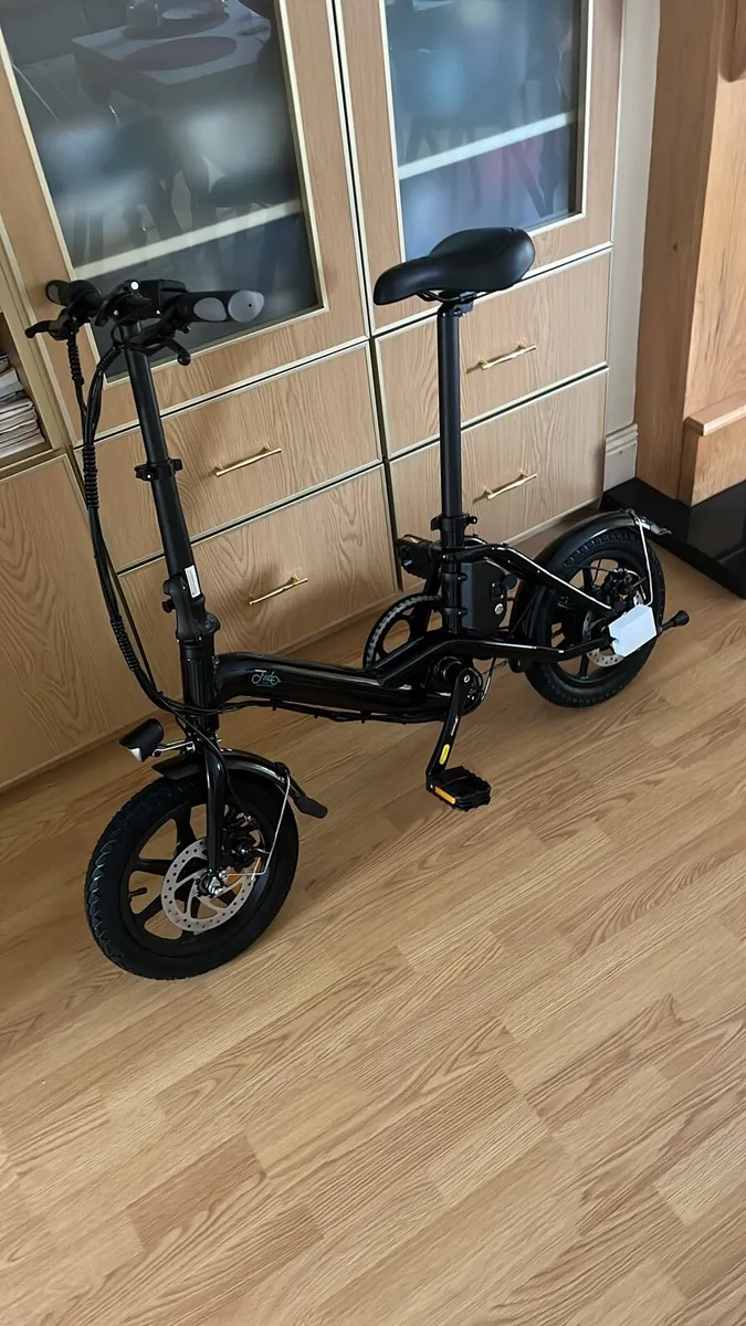 Fiido D3 Pro Ebike - Image 1