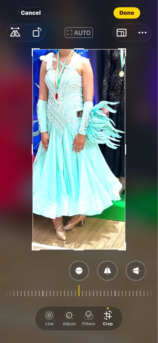 Ball room dress - Image 1