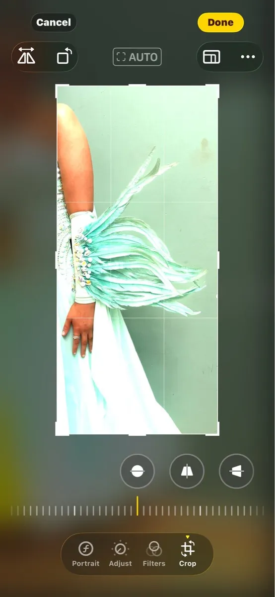 Ball room dress - Image 3