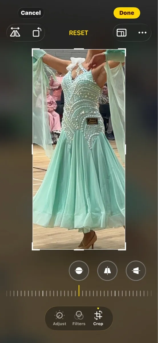 Ball room dress - Image 4