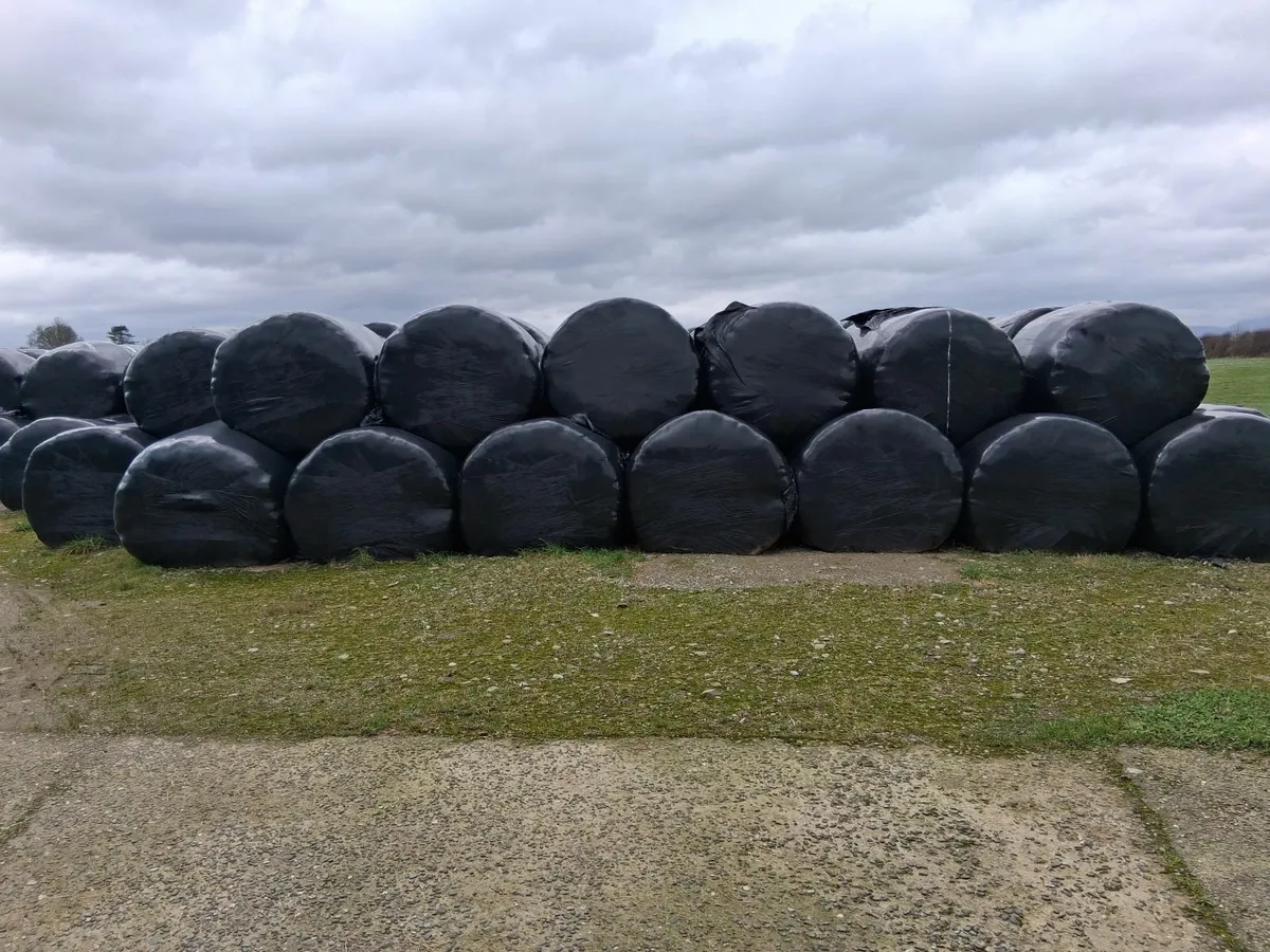 Silage Bales - Image 1