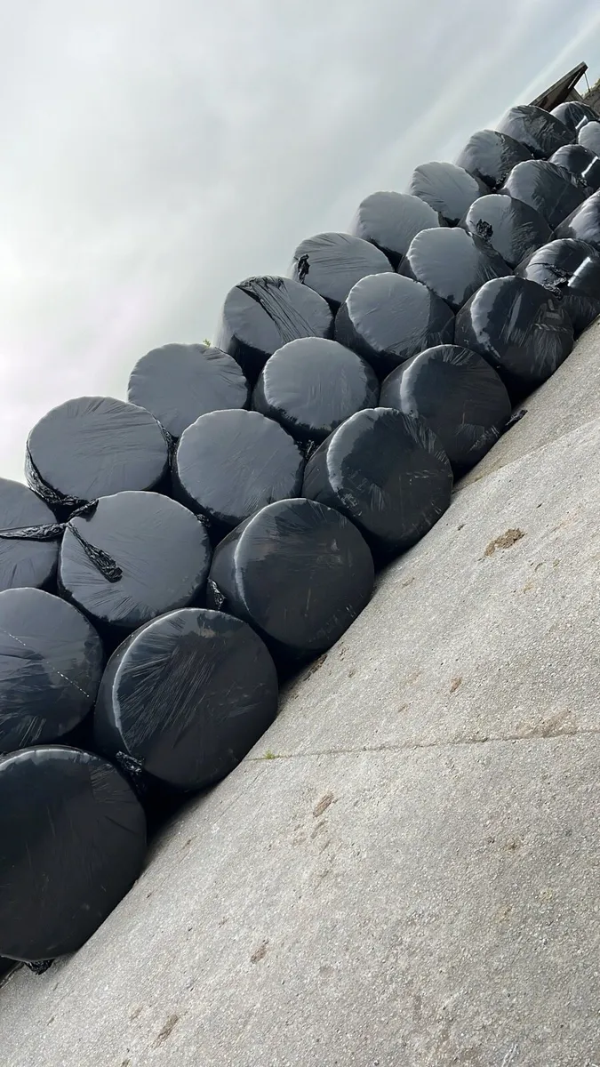 Silage Bales - DMD 74.10%