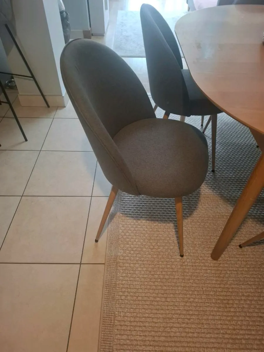5 dining chairs - Image 1