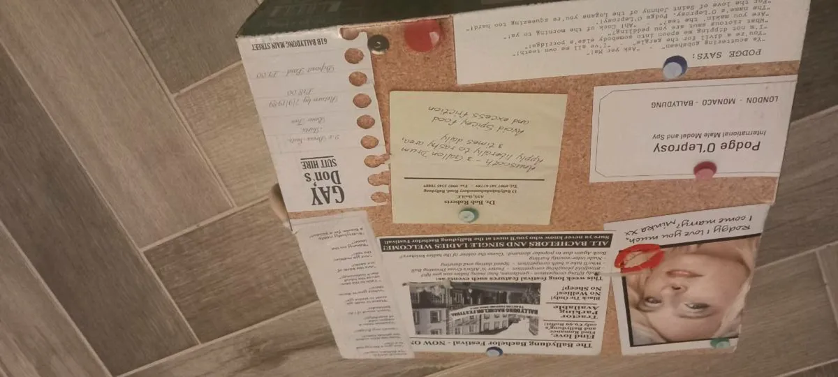 Podge and Rodge Talking Dolls - Image 2