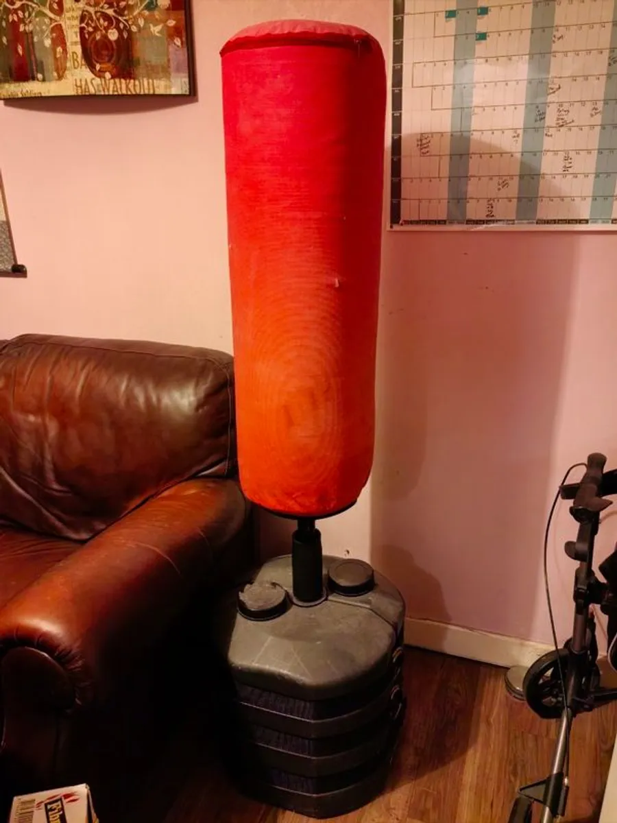 Punching Bag - Kids