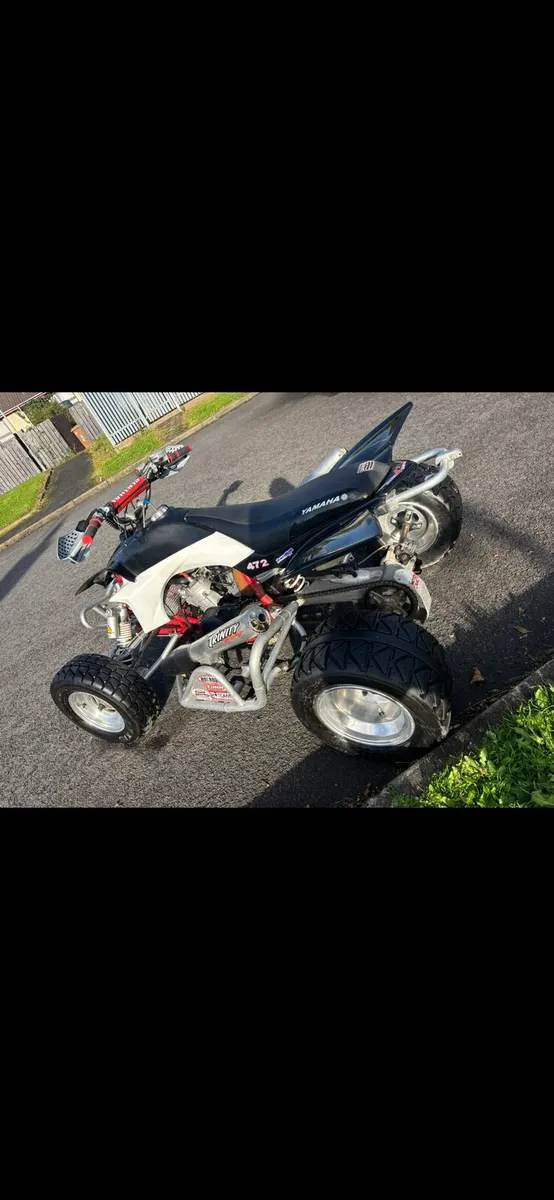 Trinity banshee - Image 2