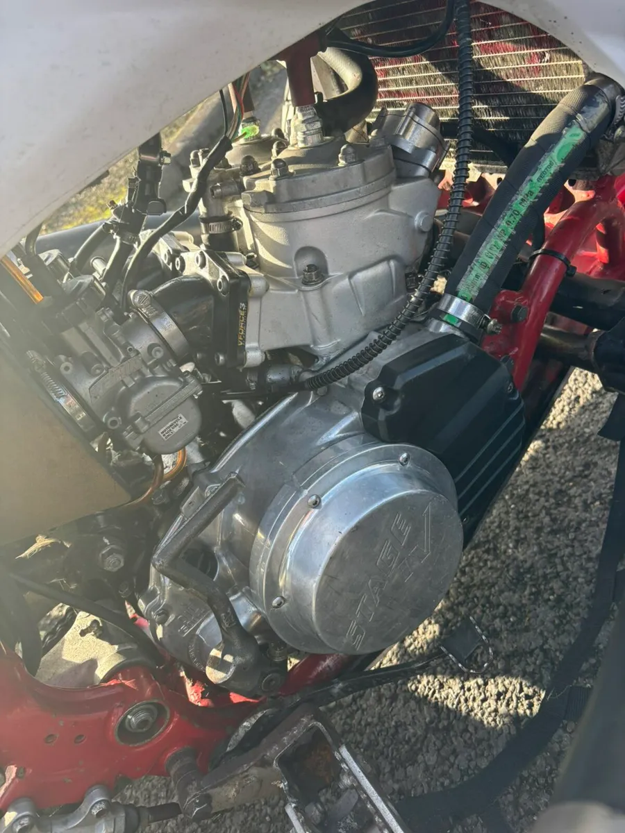 Trinity banshee - Image 4