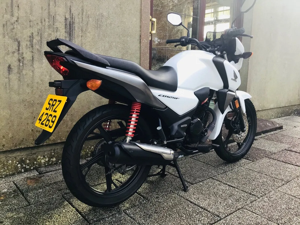 2021 Honda CBF 125 - Image 4