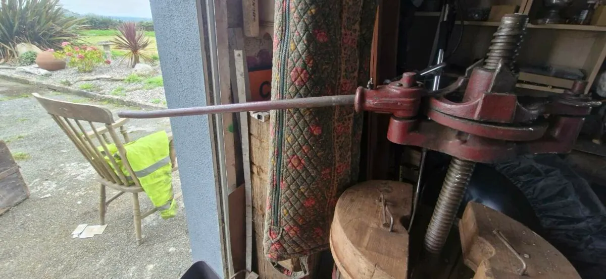 Apple juicer - Image 4