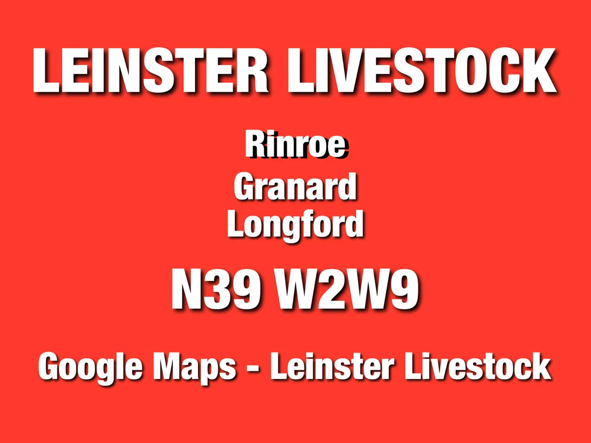 LEINSTER LIVESTOCK GRANARD LONGFORD - Image 3