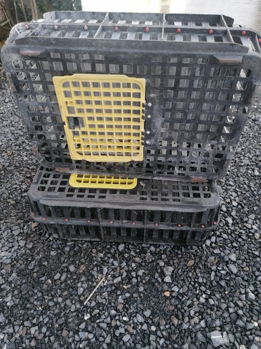 Chicken crates