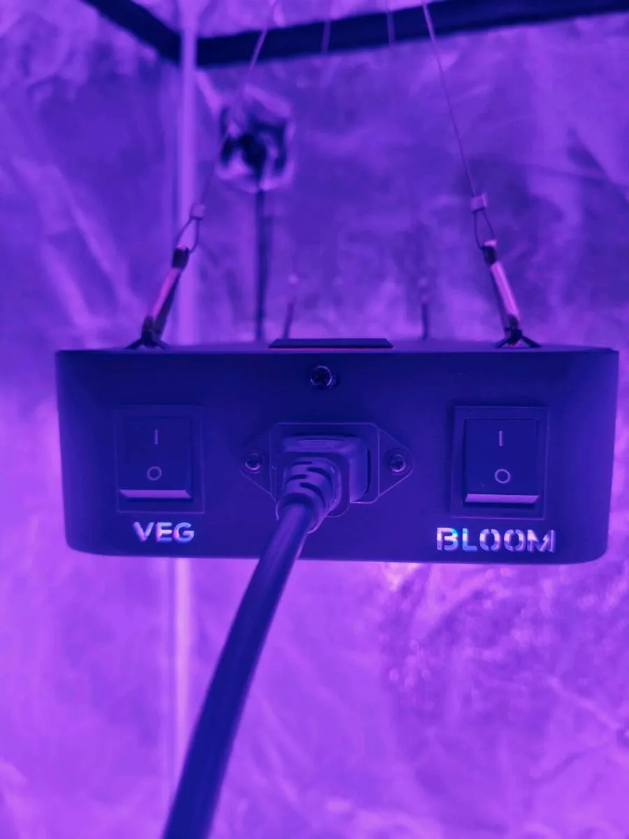 Grow tent+ lights+ fans - Image 3