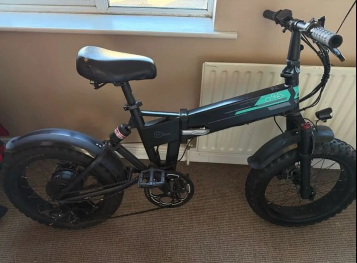 Fiido M1 Pro - Image 1