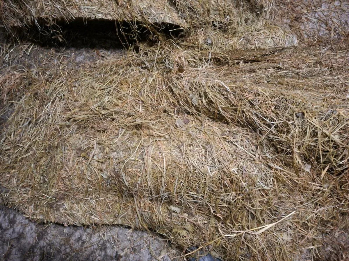 Silage - Image 2