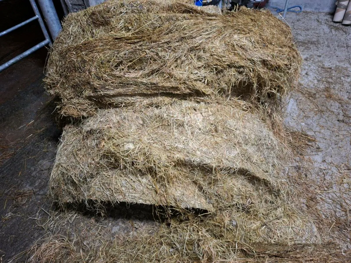Silage - Image 1