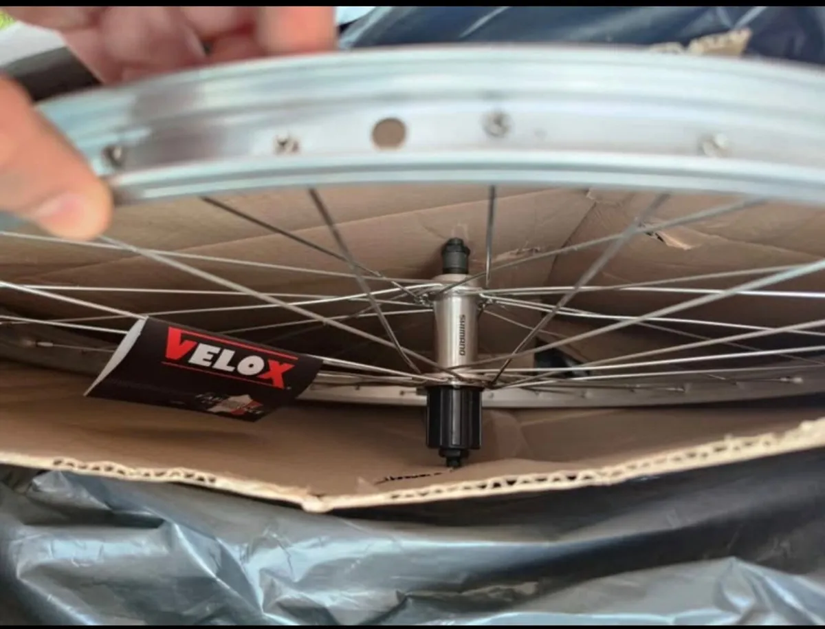 MTB Wheel rear - Image 2