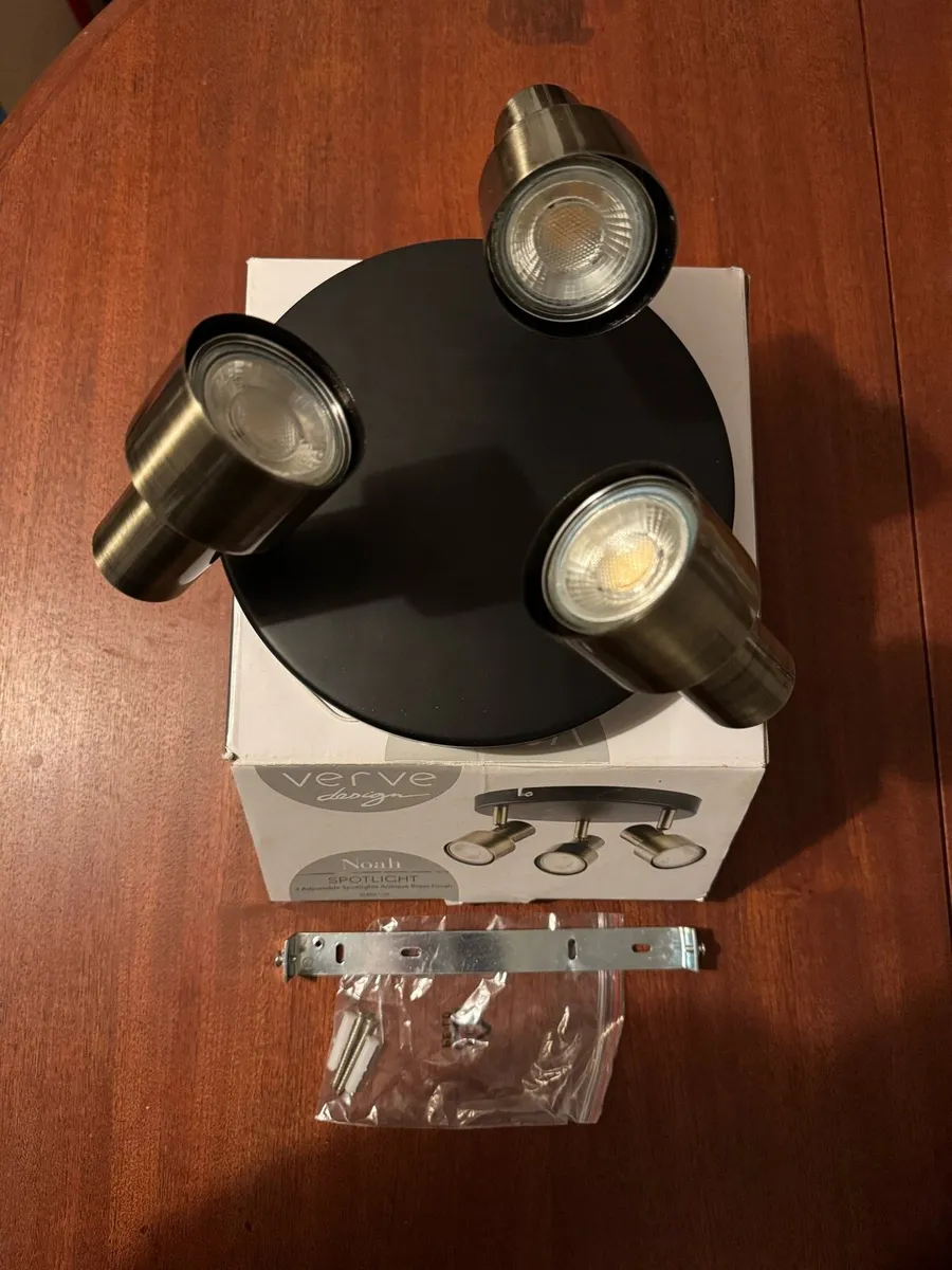 Verve Design Black and Brass Ceiling Light - Image 2