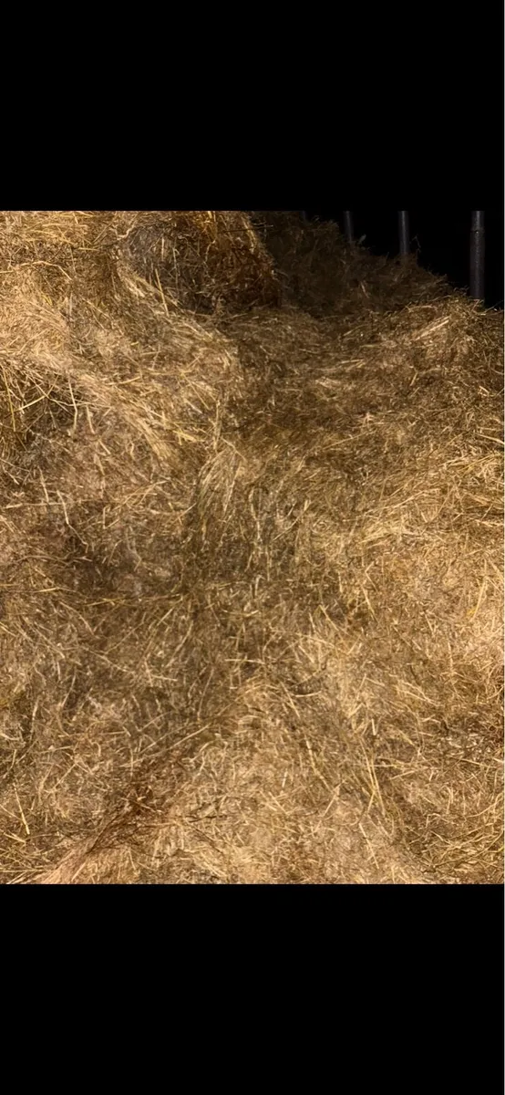 Silage - Image 1