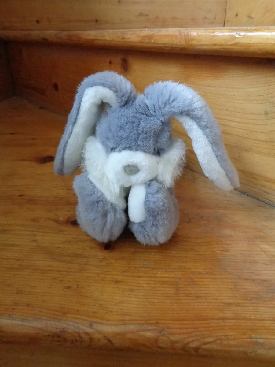 Cuddly Bunny Rabbit for Sale - Image 1