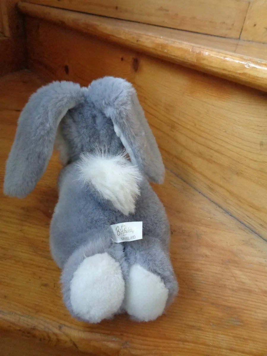 Cuddly Bunny Rabbit for Sale - Image 3