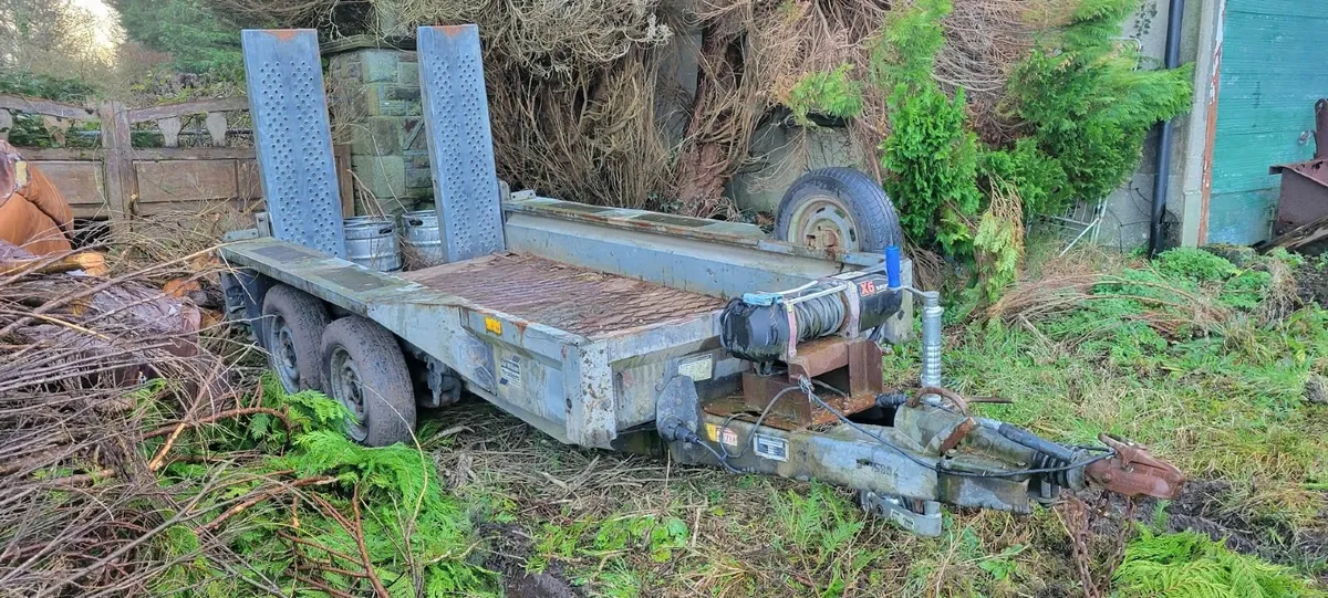 IforWilliams Plant Trailer - Image 1
