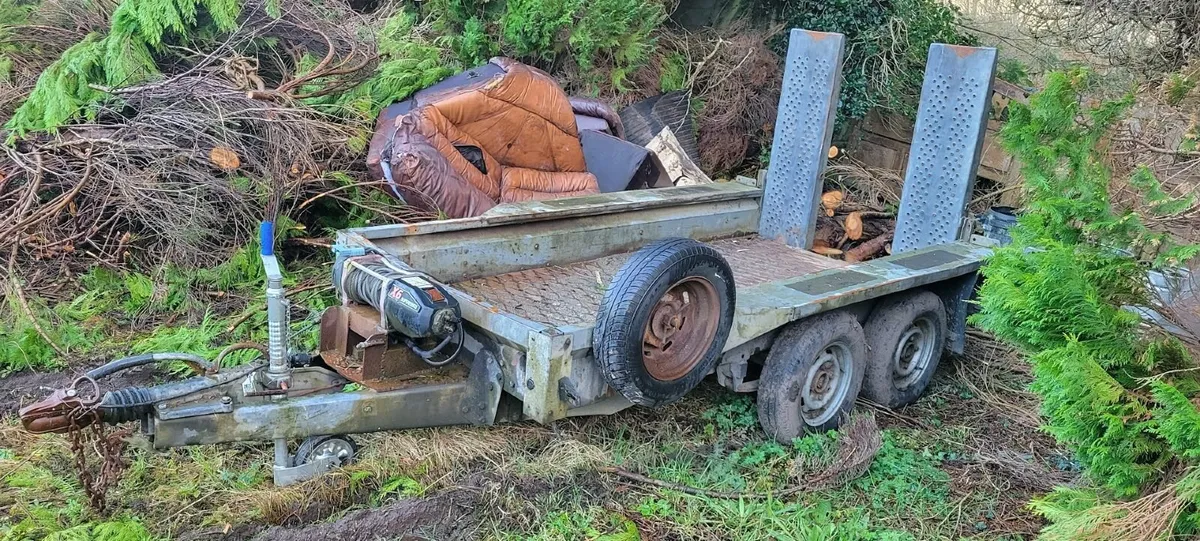 IforWilliams Plant Trailer - Image 2