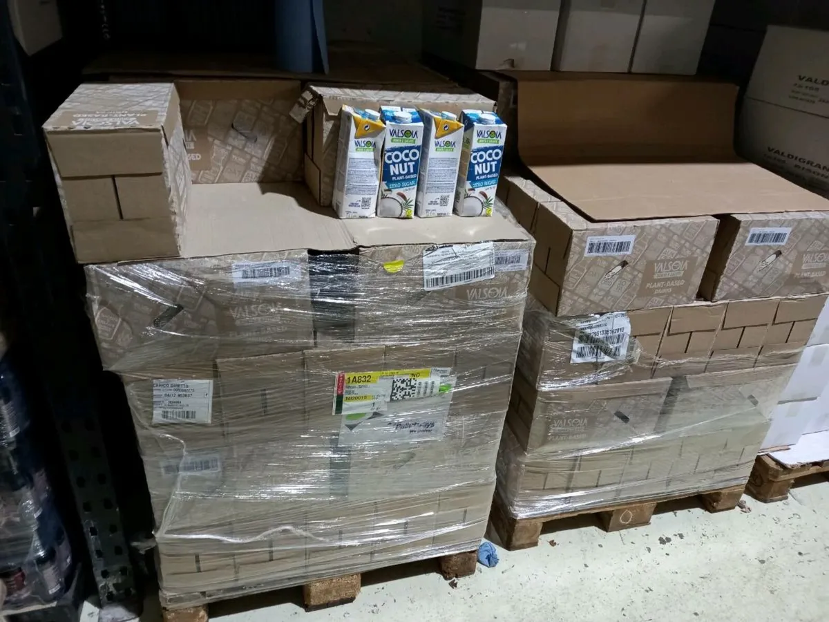 Clearance Milk Plant- Coconut - Image 3