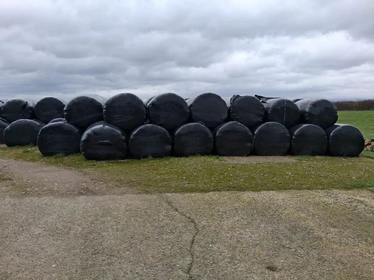 Silage Bales - Image 2