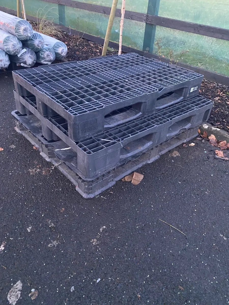 Heavy duty plastic pallets - Image 2