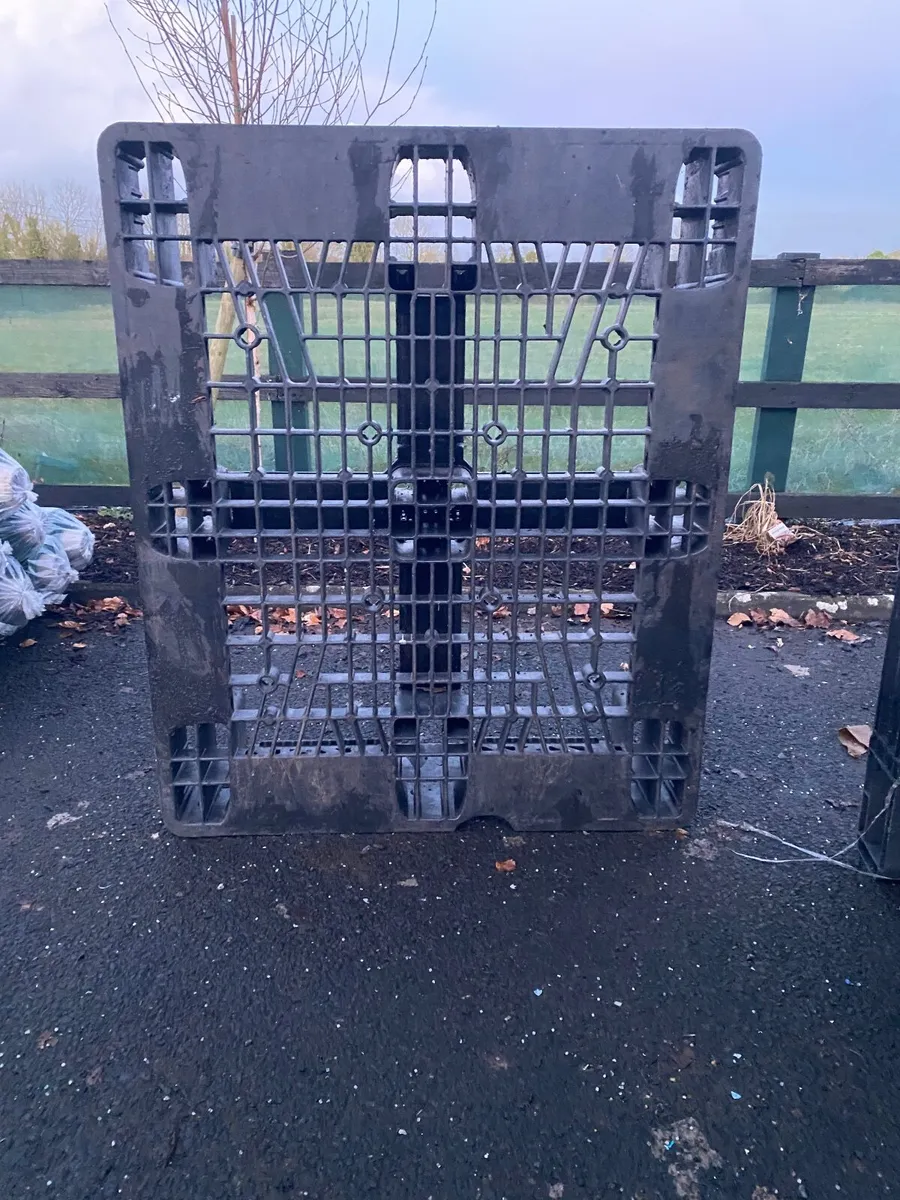 Heavy duty plastic pallets - Image 1