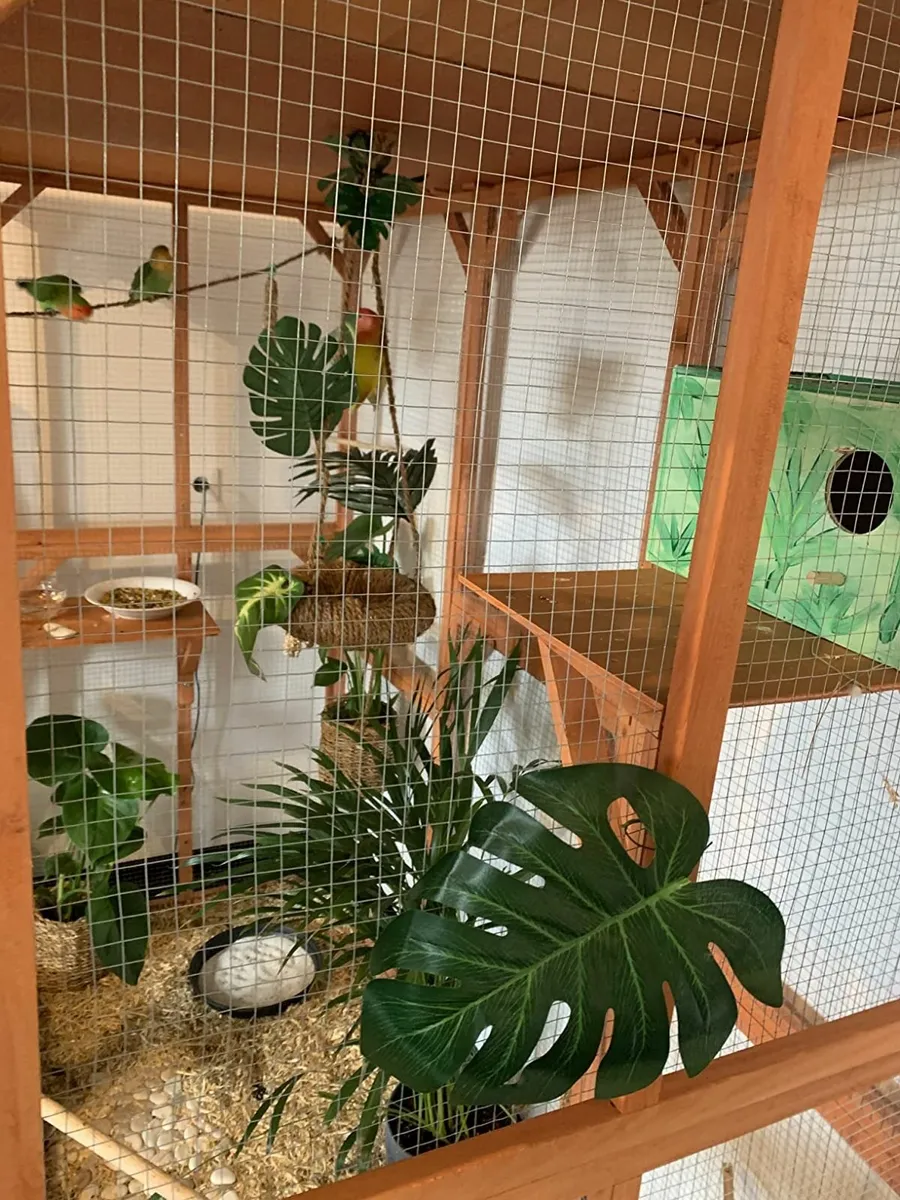 CATIO CATTERY PLAYPEN ..FREE DELIVERY - Image 2