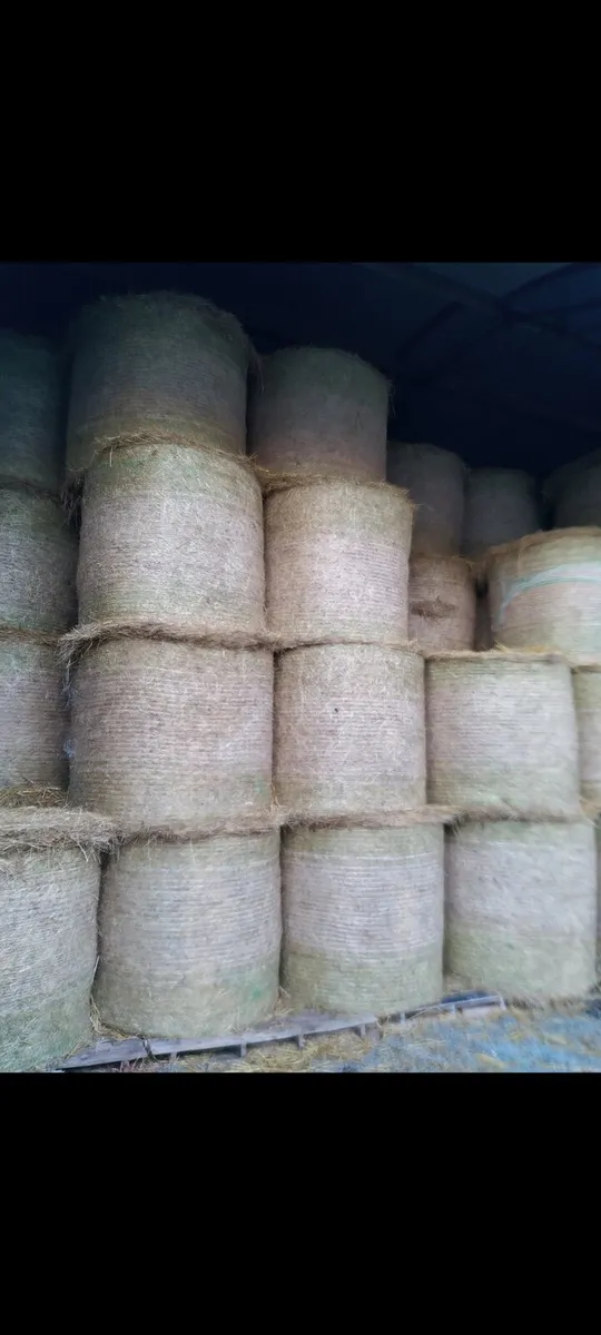 Small square bales of haylage, Round bales of hay - Image 2