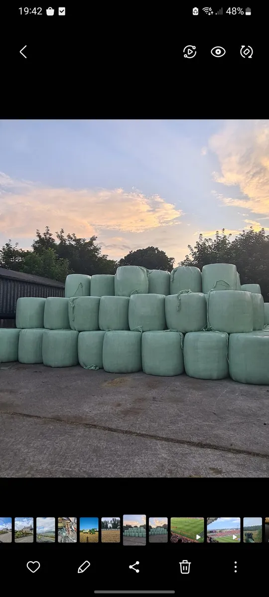 Small square bales of haylage, Round bales of hay - Image 3