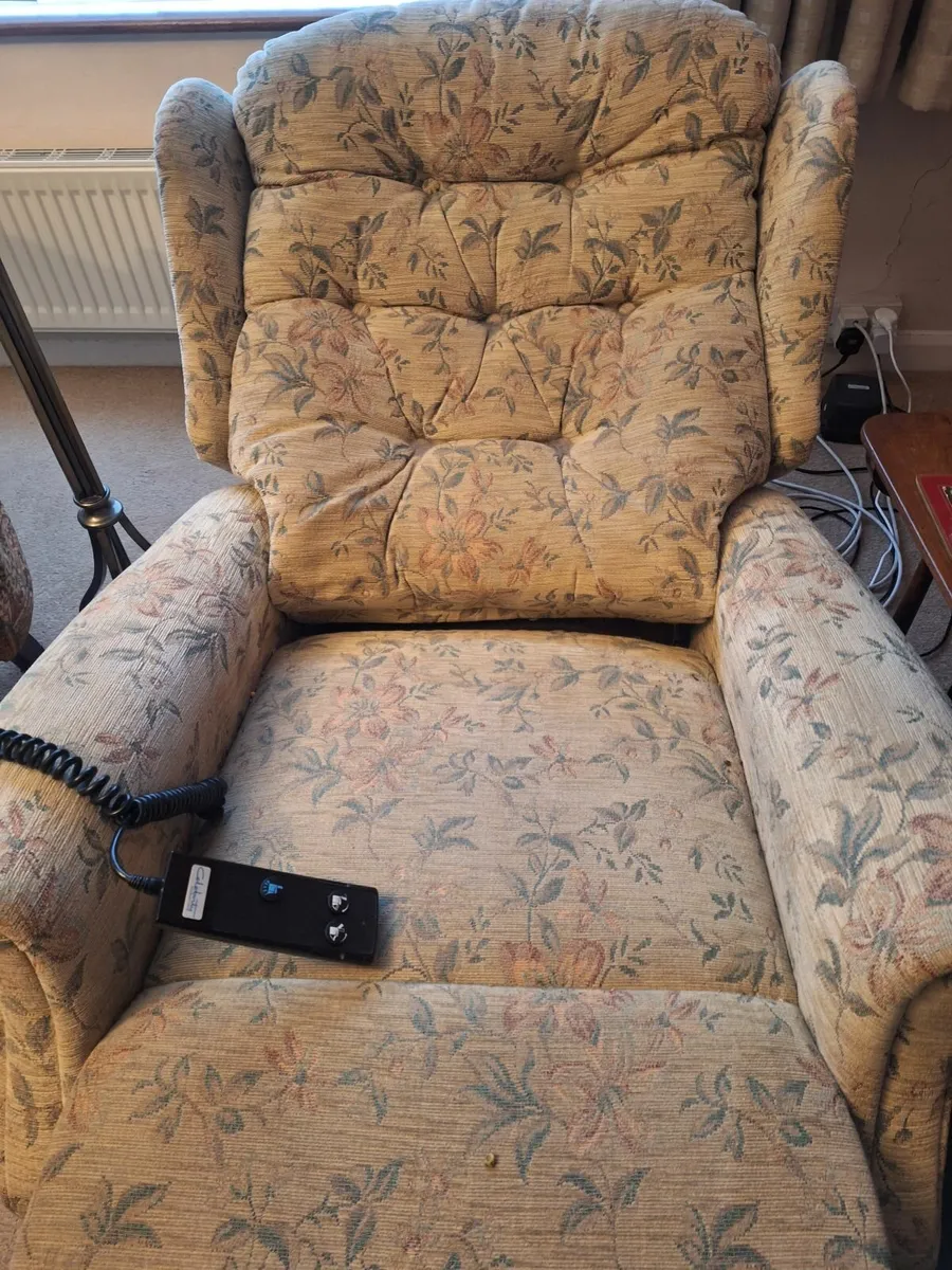 Electric Armchair - Image 3