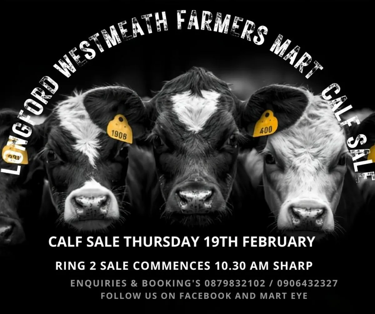 Ballymahon Mart calf sales