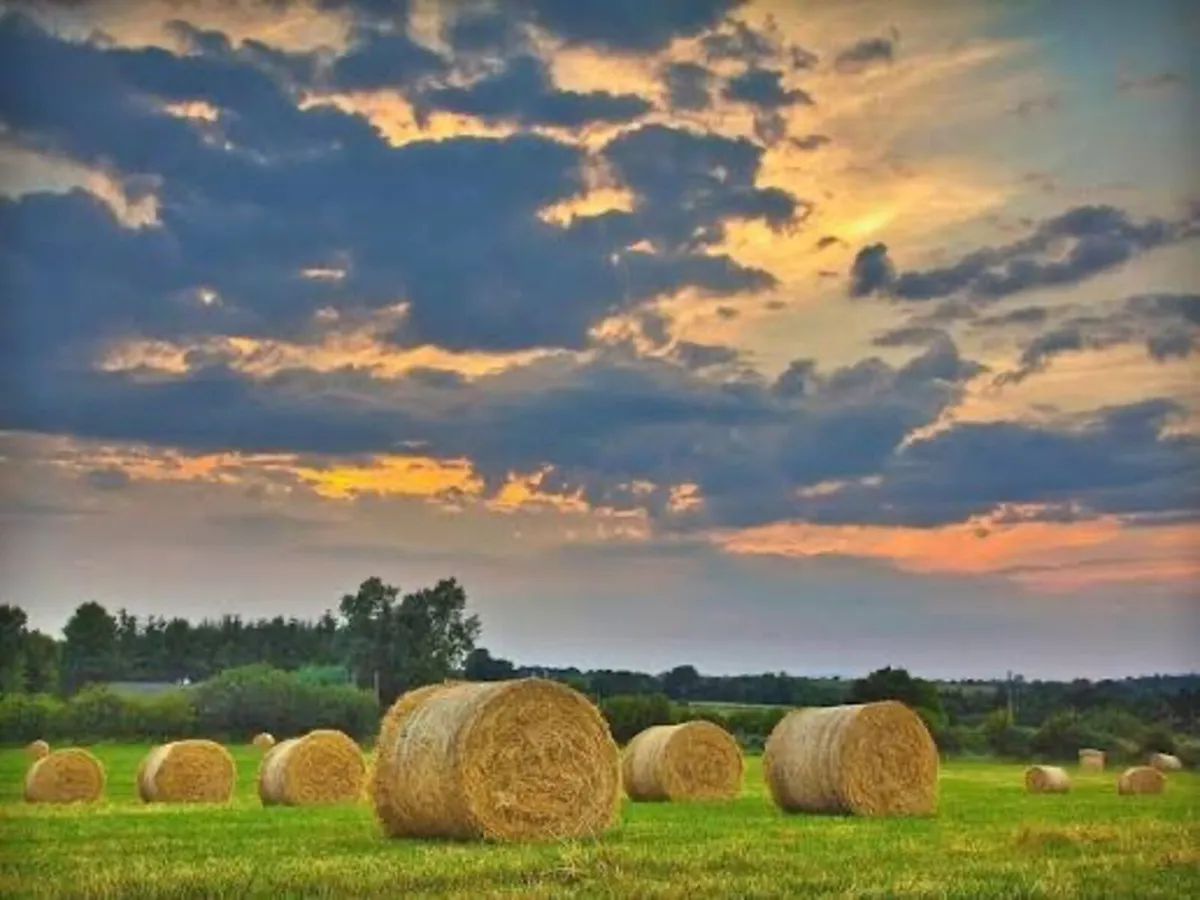 Round hay bales