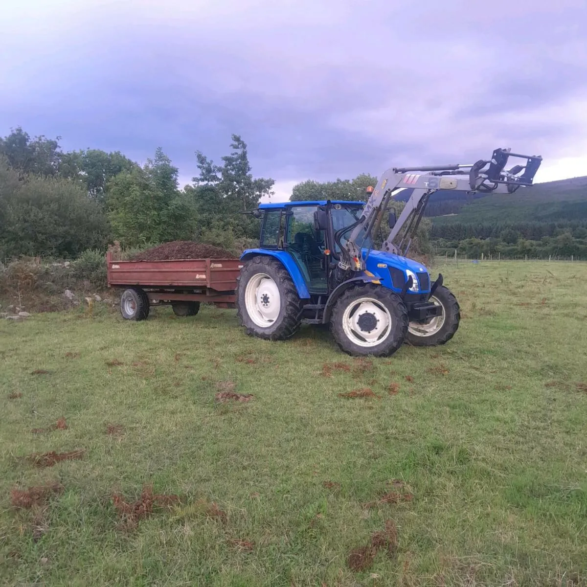 Mushroom compost - Image 1