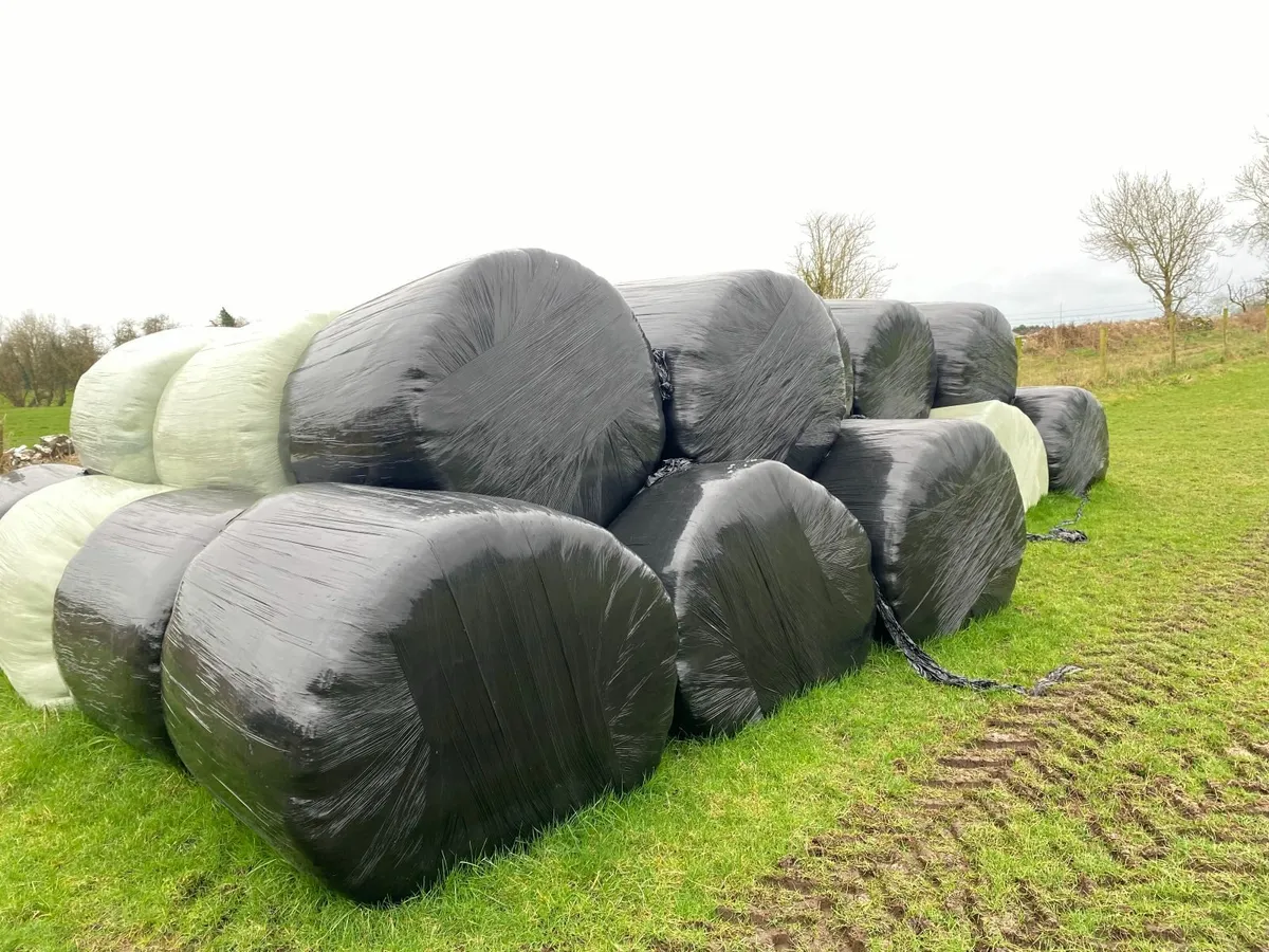 Silage Bales - Image 1