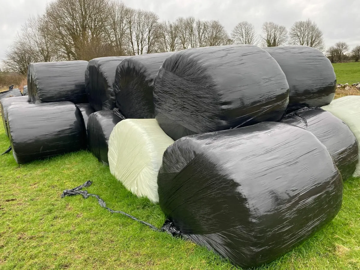 Silage Bales - Image 2