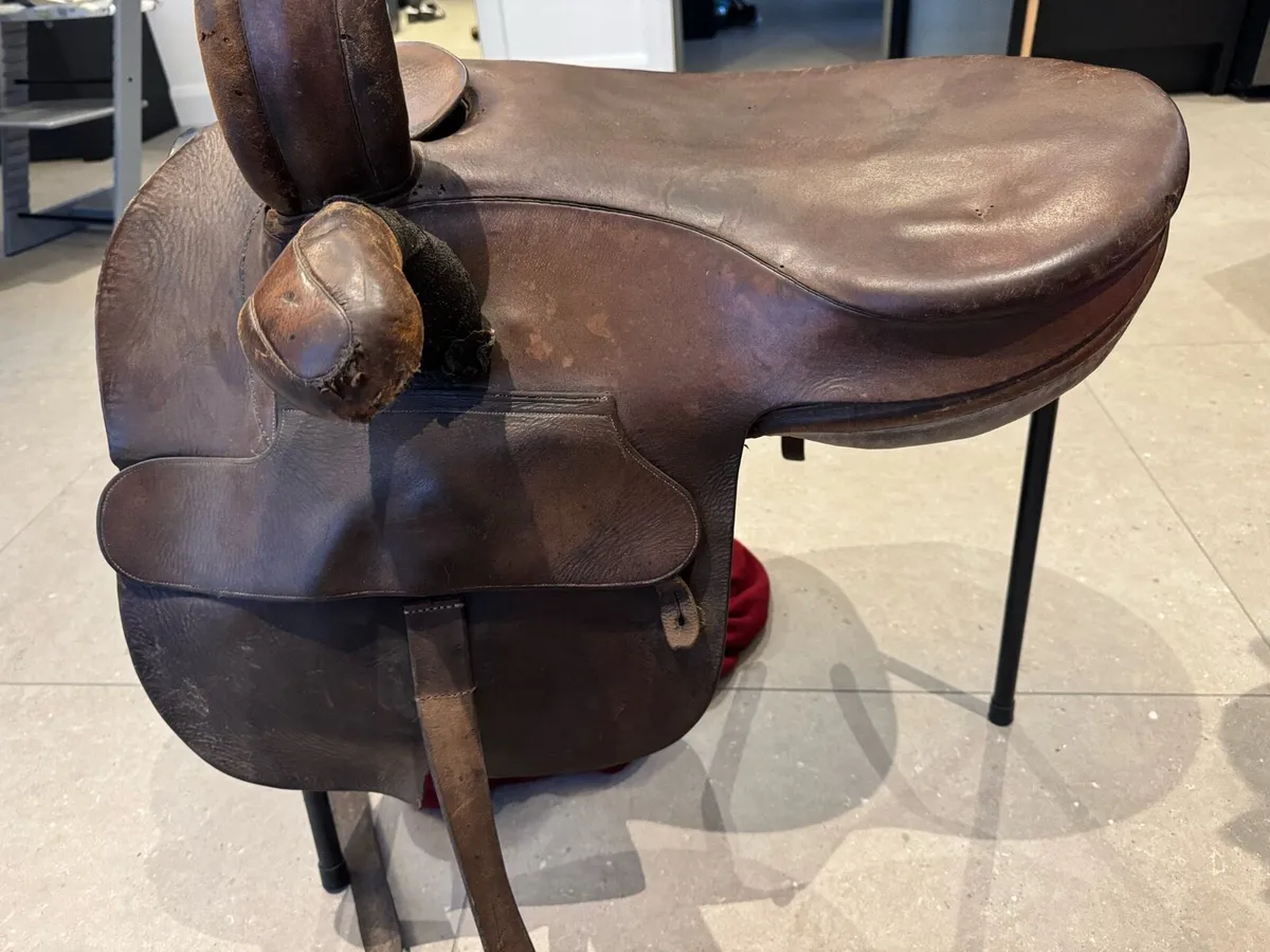 Side Saddle Champion Wilton - Image 1