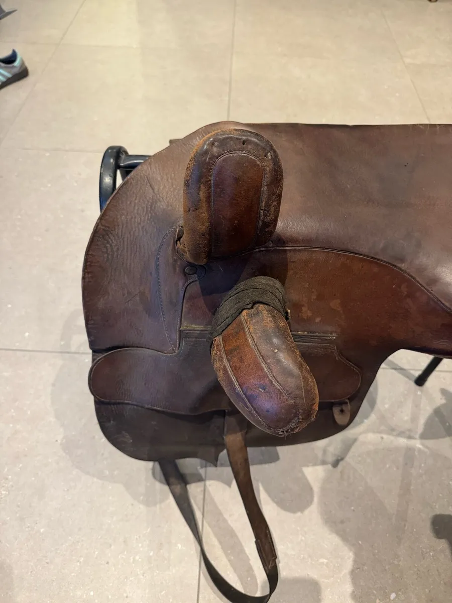 Side Saddle Champion Wilton - Image 2