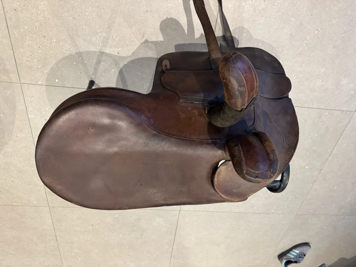 Side Saddle Champion Wilton - Image 3